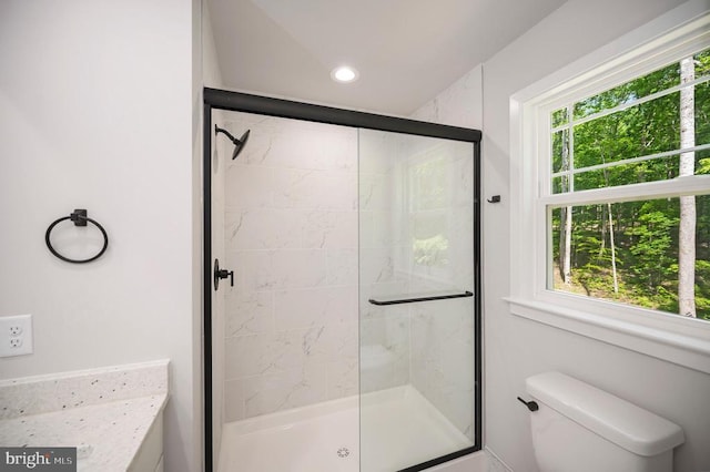 3149 Lewiston Rd, Bumpass, VA 23024 - bathroom with a shower stall, toilet, and recessed lighting