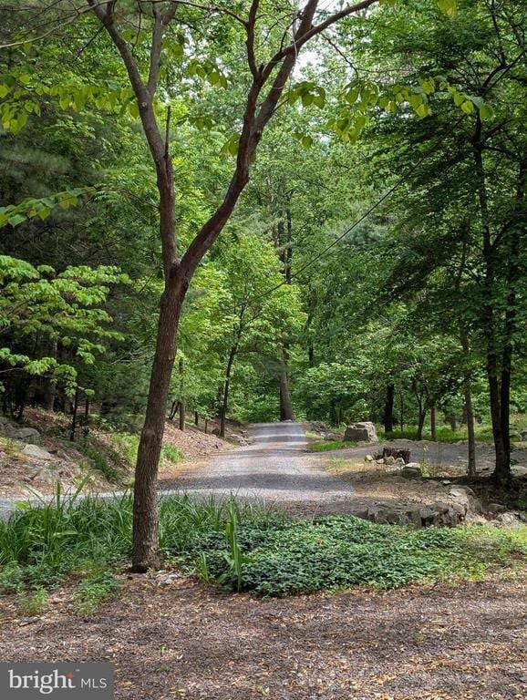 115 Oventop Mountain Ln, Sperryville, VA 22740 - surrounding community featuring a forest view
