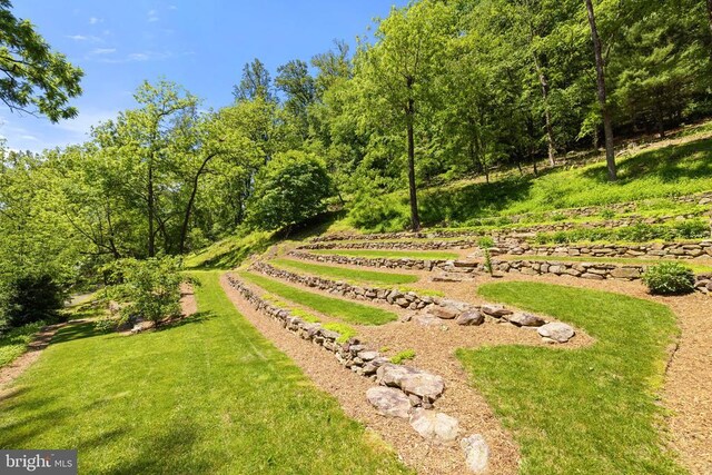 115 Oventop Mountain Ln, Sperryville, VA 22740 - view of green lawn