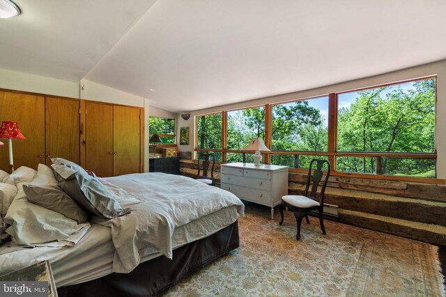 115 Oventop Mountain Ln, Sperryville, VA 22740 - bedroom featuring vaulted ceiling