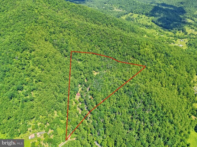 115 Oventop Mountain Ln, Sperryville, VA 22740 - aerial view of property and surrounding area featuring a forest and property parcel outlined