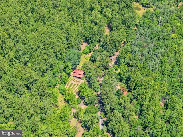 115 Oventop Mountain Ln, Sperryville, VA 22740 - view of property location with a heavily wooded area