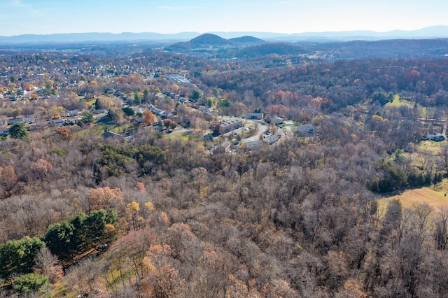 2409 Bare St, Staunton, VA 24401 - photo 3
