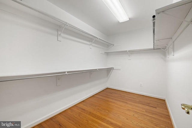  - spacious closet with light wood finished floors
