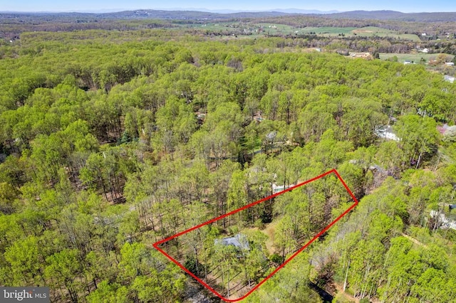  - aerial overview of property's location featuring a heavily wooded area and property boundaries highlighted
