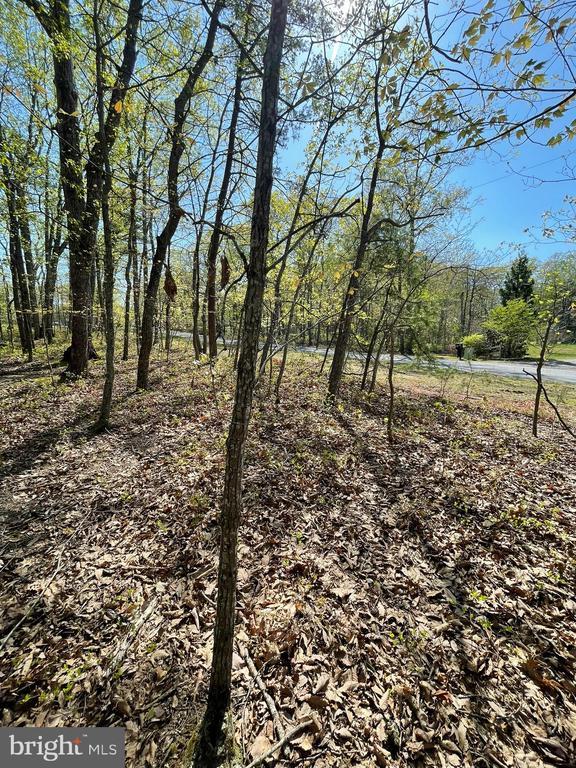 13323 Black Meadow Rd, Spotsylvania, VA 22553 - photo 13