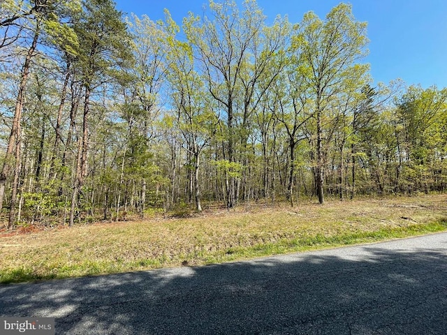 13323 Black Meadow Rd, Spotsylvania, VA 22553 - photo 2