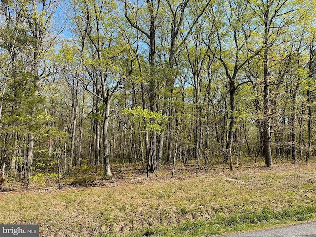 13323 Black Meadow Rd, Spotsylvania, VA 22553 - photo 18
