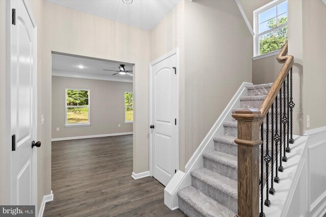 12521 Wilderness Park Dr, Spotsylvania, VA 22551 - stairs with a ceiling fan, plenty of natural light, wood finished floors, and ornamental molding