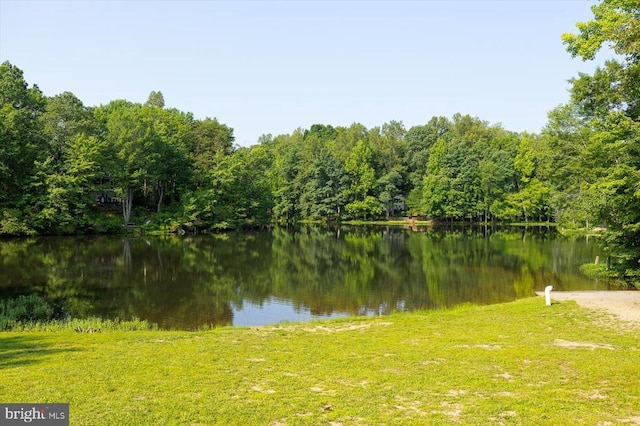 12521 Wilderness Park Dr, Spotsylvania, VA 22551 - water view featuring a heavily wooded area