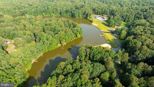12521 Wilderness Park Dr, Spotsylvania, VA 22551 - aerial overview of property's location with a heavily wooded area and a large body of water