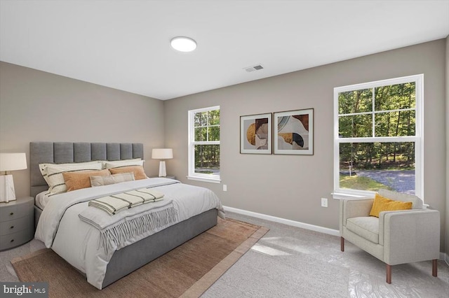 12521 Wilderness Park Dr, Spotsylvania, VA 22551 - bedroom with baseboards and light carpet