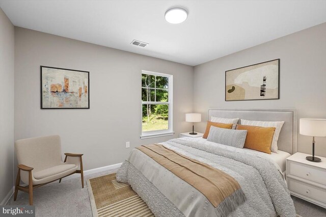 12521 Wilderness Park Dr, Spotsylvania, VA 22551 - carpeted bedroom with baseboards
