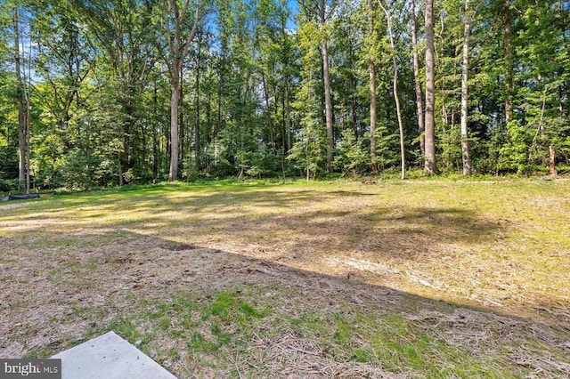 12521 Wilderness Park Dr, Spotsylvania, VA 22551 - view of yard with a forest view