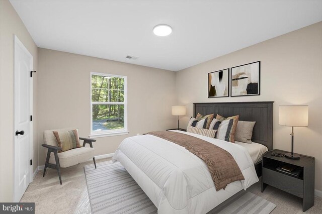 12521 Wilderness Park Dr, Spotsylvania, VA 22551 - bedroom featuring light carpet