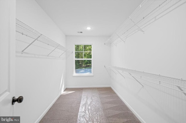 12521 Wilderness Park Dr, Spotsylvania, VA 22551 - walk in closet featuring carpet