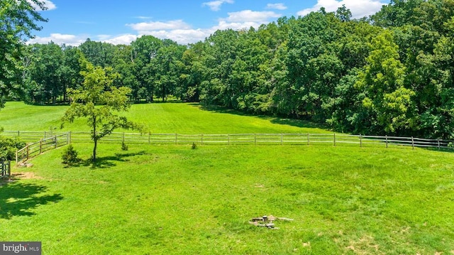 9467 Old Waterloo Rd, Warrenton, VA 20186 - photo 51