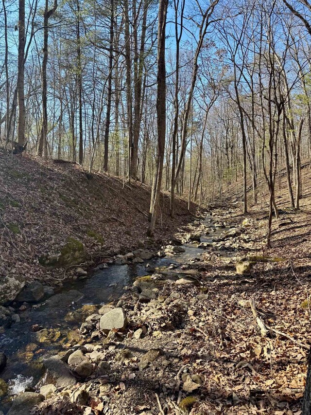 LOT10 Independence Ln, New Market, VA 22844