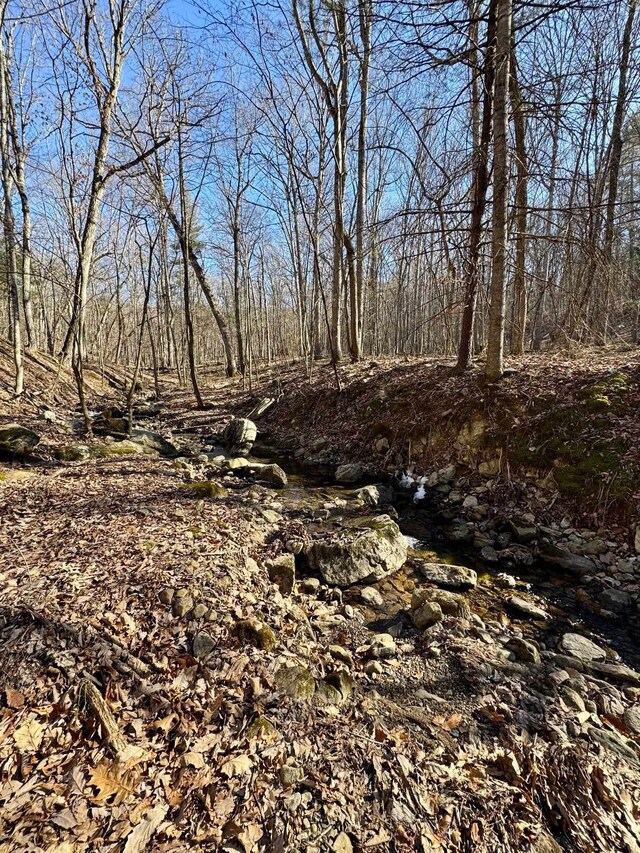 LOT10 Independence Ln, New Market, VA 22844