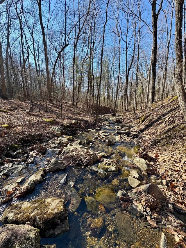 LOT10 Independence Ln, New Market, VA 22844