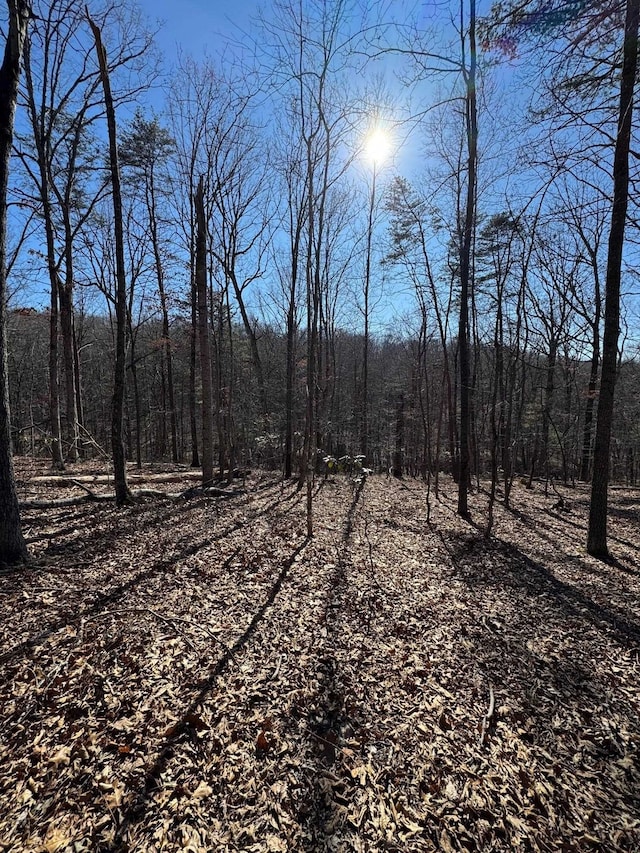 LOT10 Independence Ln, New Market, VA 22844