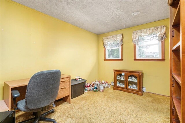5497 Beaver Creek Rd, Bridgewater, VA 22812 - photo 14