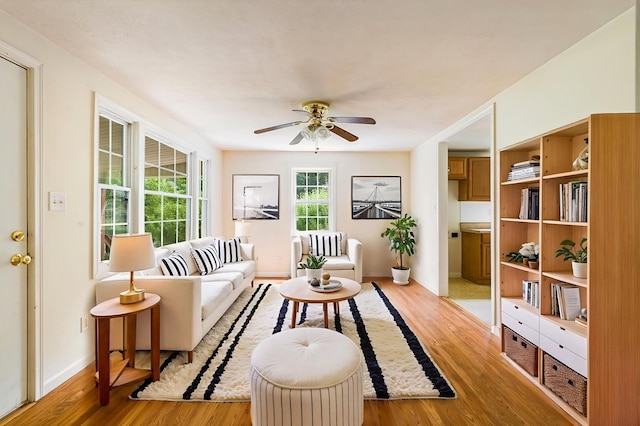 474 Stoney Run Rd, Buena Vista, VA 24416 - living area featuring ceiling fan and light wood-type flooring