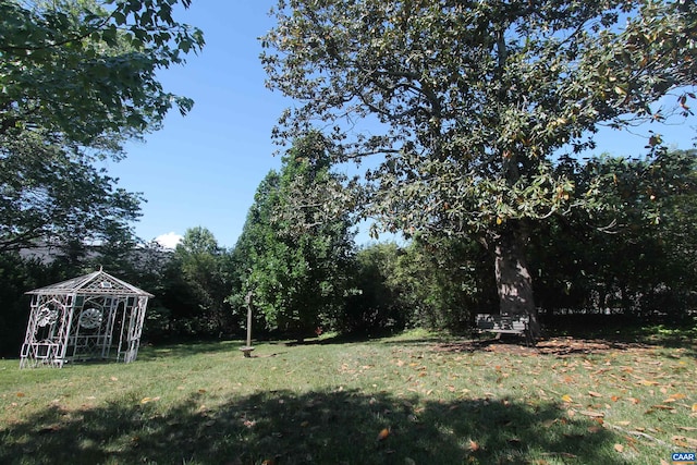 view of green lawn