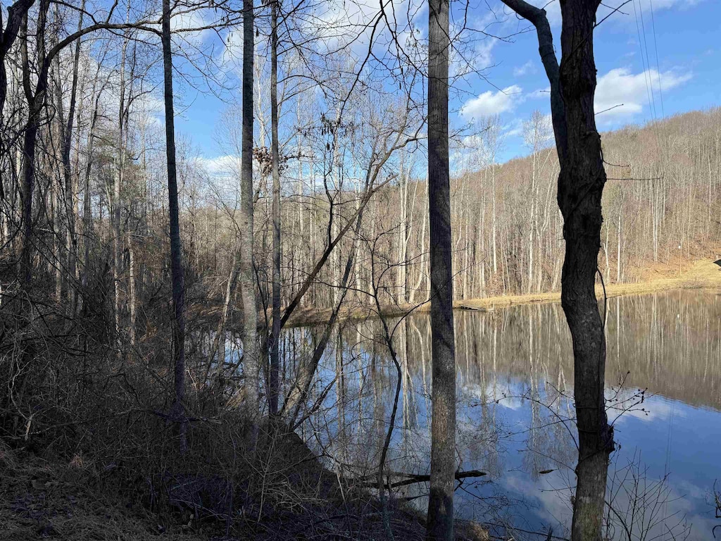 TBD Wares Gap Rd, Amherst, VA 24521 - photo 1