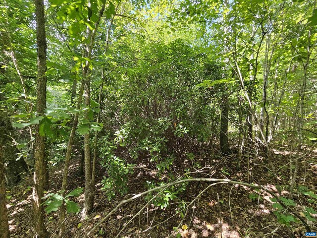 TBD W James Anderson Hwy W, Gladstone, VA 24553