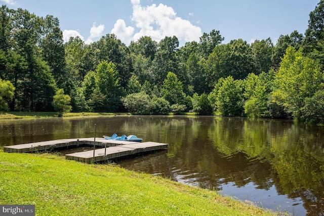 14457 Kimber Ln, Culpeper, VA 22701 - photo 22