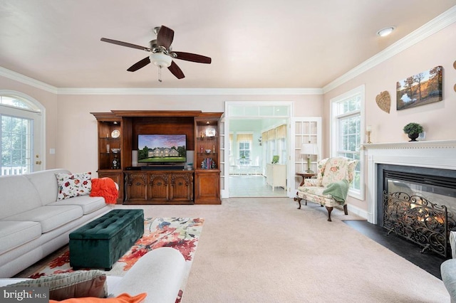 14457 Kimber Ln, Culpeper, VA 22701 - photo 43
