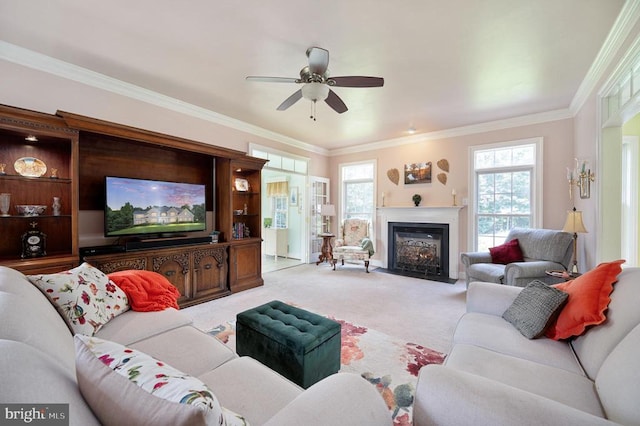 14457 Kimber Ln, Culpeper, VA 22701 - photo 41