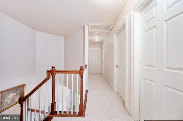14457 Kimber Ln, Culpeper, VA 22701 - photo 50