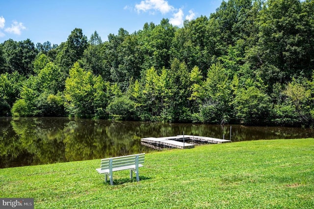 14457 Kimber Ln, Culpeper, VA 22701 - photo 21