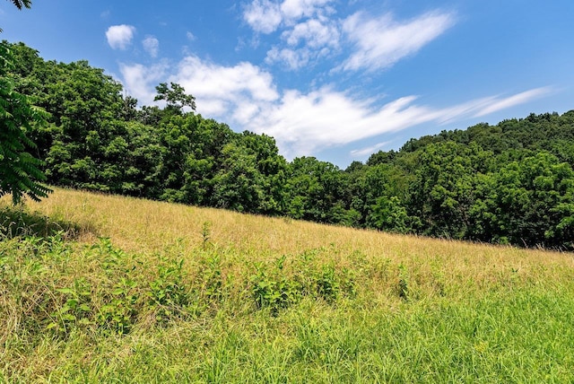 TBD Williamsburg Rd, Linville, VA 22834