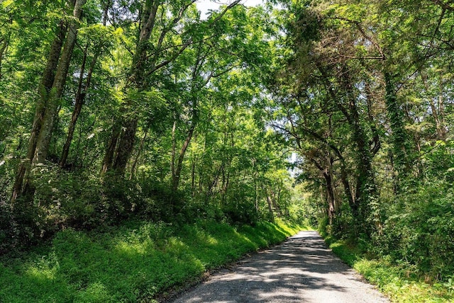 TBD Williamsburg Rd, Linville, VA 22834
