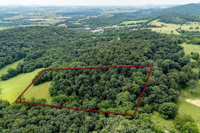 TBD Williamsburg Rd, Linville, VA 22834