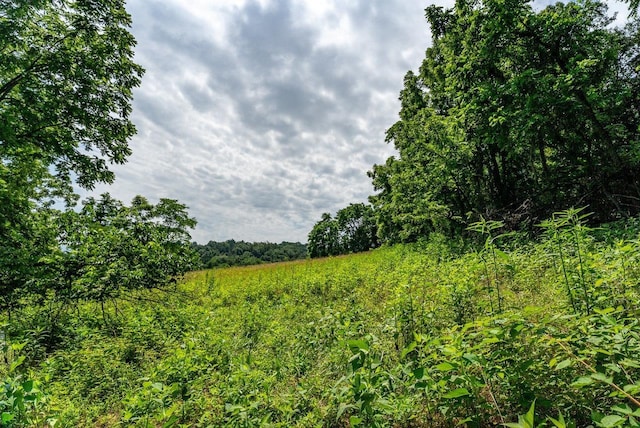 TBD Williamsburg Rd, Linville, VA 22834