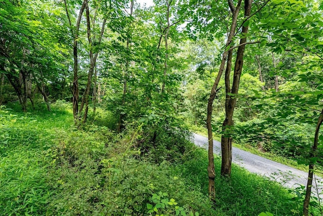 TBD Williamsburg Rd, Linville, VA 22834