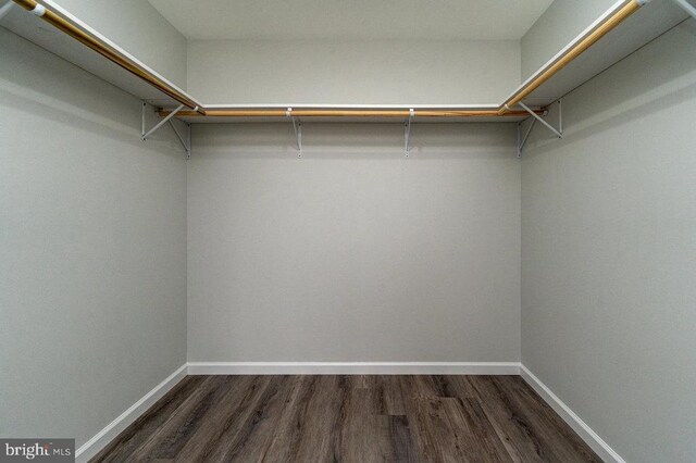 1087 Judy Ln, Stanley, VA 22851 - walk in closet featuring dark wood-style floors
