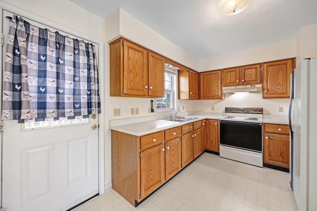 113 Sun Briar Ct, New Market, VA 22844 - photo 12