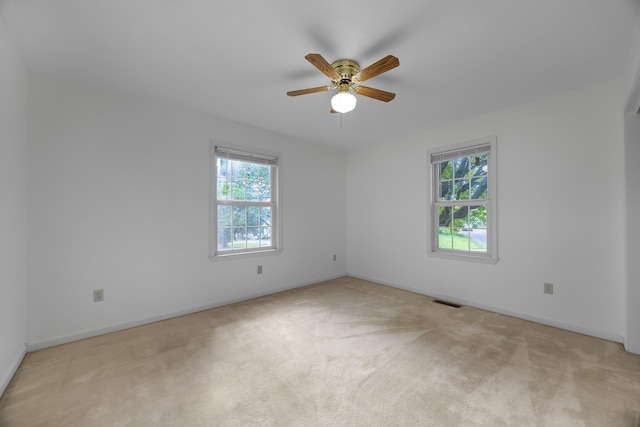 113 Sun Briar Ct, New Market, VA 22844 - photo 15