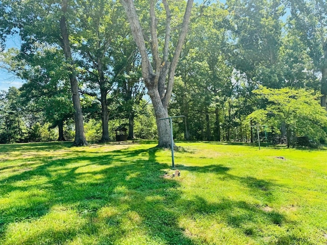 58 Old Hermitage Rd, Waynesboro, VA 22980 - photo 10