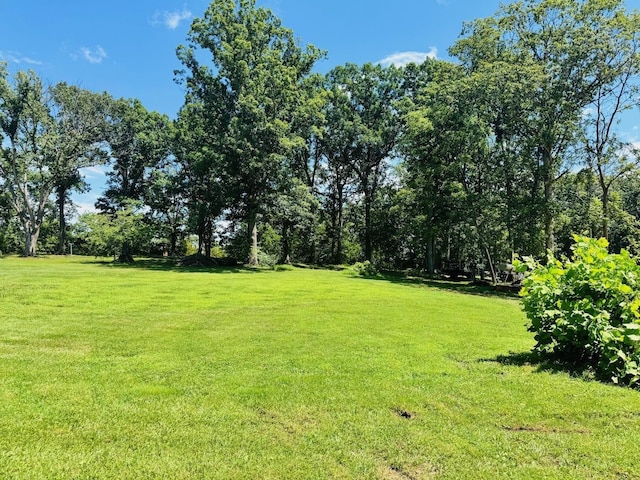 58 Old Hermitage Rd, Waynesboro, VA 22980 - photo 8