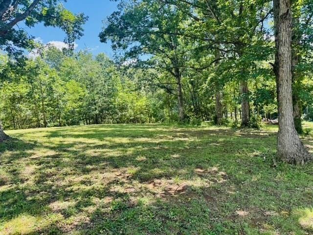 58 Old Hermitage Rd, Waynesboro, VA 22980 - photo 6