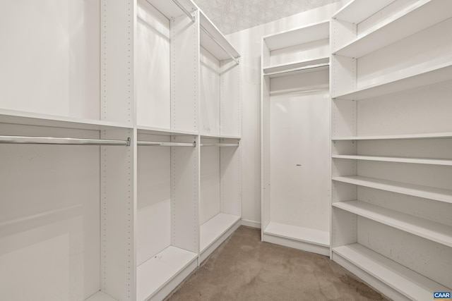 2777 Peppervine Ct, Charlottesville, VA 22911 - spacious closet with light colored carpet
