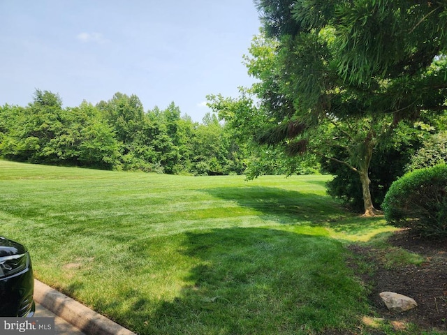 11923 Legacy Woods Dr, Fredericksburg, VA 22407 - photo 3