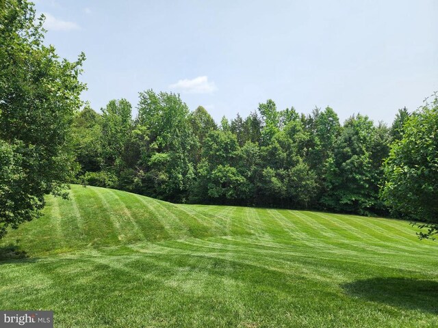 11923 Legacy Woods Dr, Fredericksburg, VA 22407 - photo 5