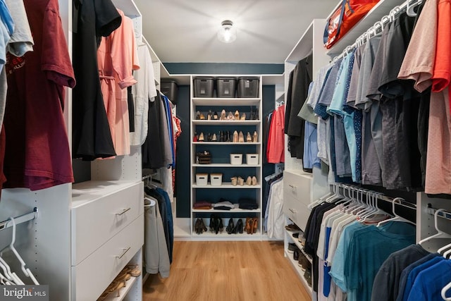 10430 Aspen Highlands Dr, Spotsylvania, VA 22553 - walk in closet featuring light wood-style floors